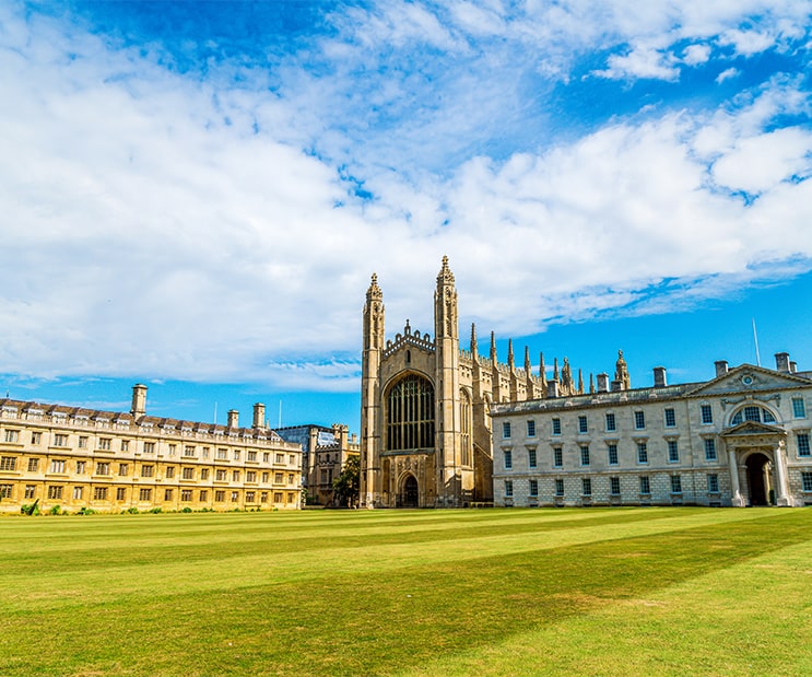 Daffodils Study Abroad